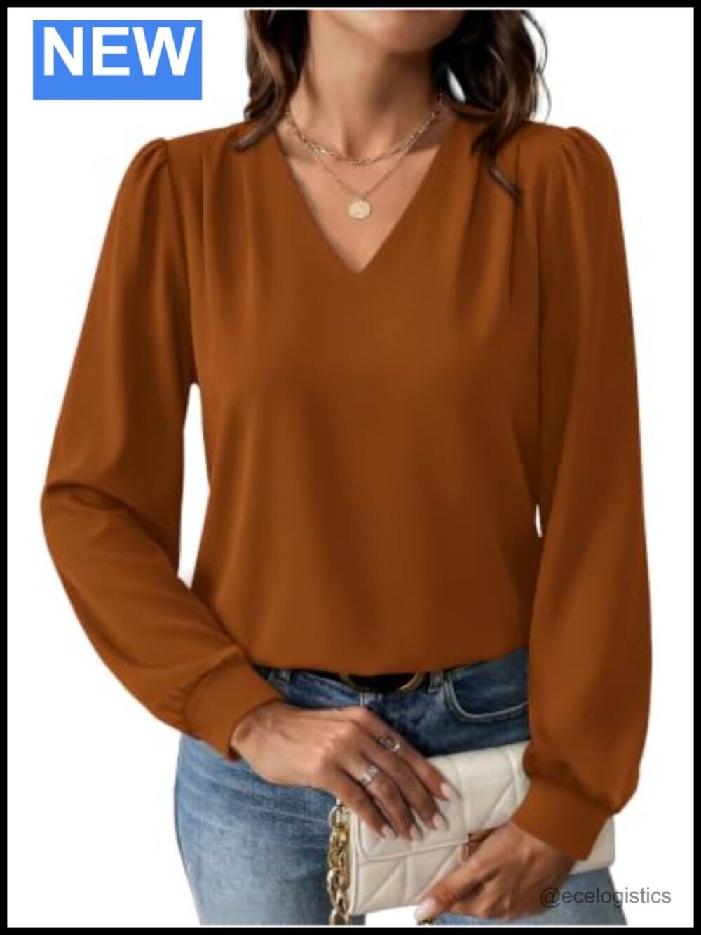 Women's Dressy Casual Long Sleeve Blouse with Puff Sleeves